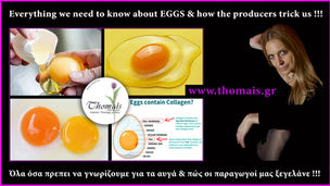 Everything you need to know about EGGS & how the producers deceive us - poster