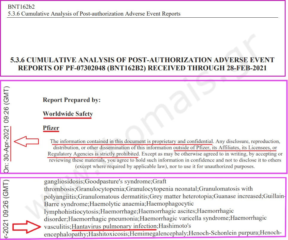 screenshot of the document