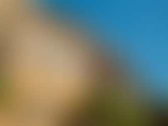 Mastering the settlement process – What every homeowner should know