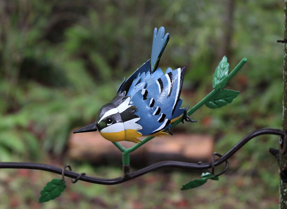 Thumbnail: Nuthatch