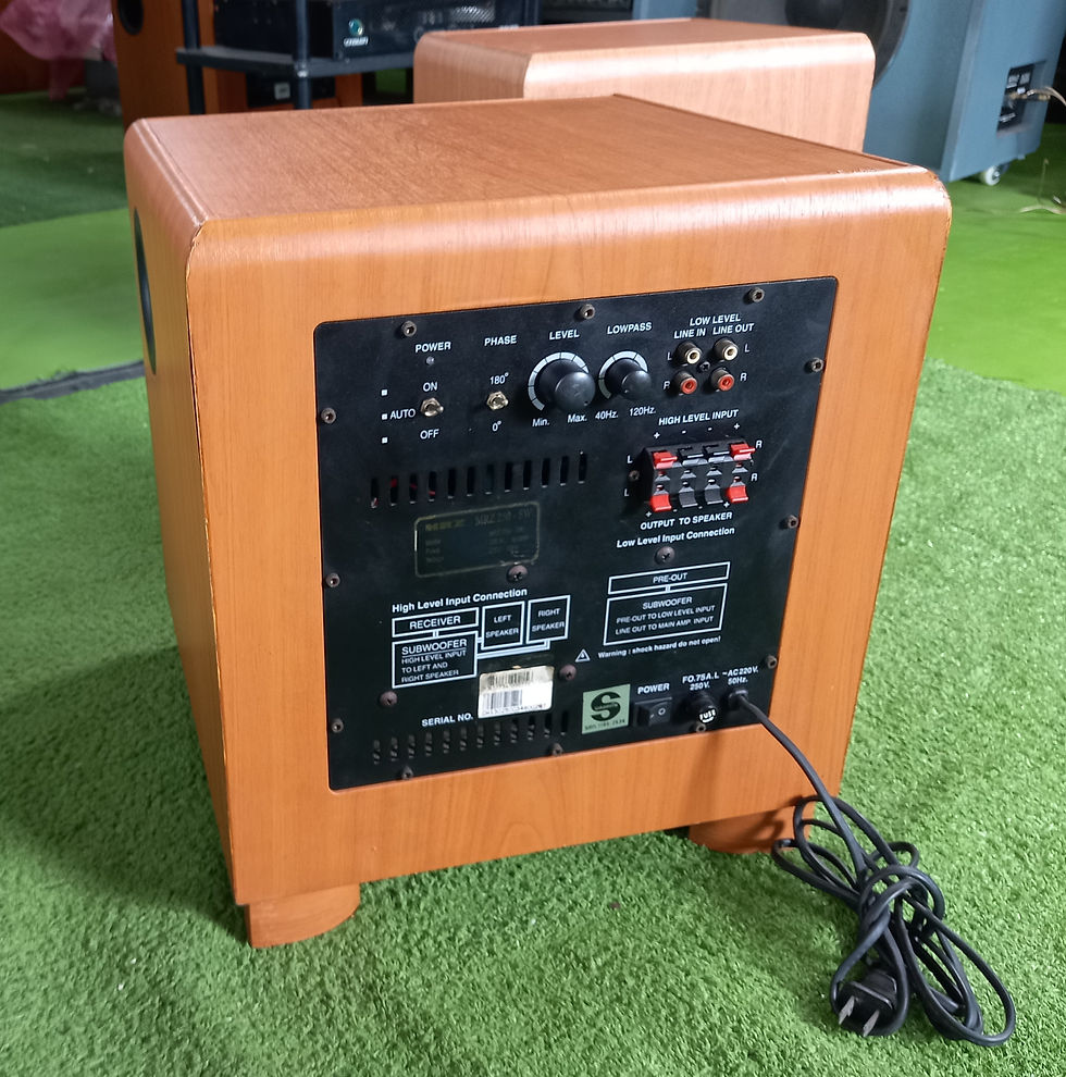 ภาพขนาดย่อ: ลำโพง Sub Active MRZ 250 -SW ไม่มีดอก