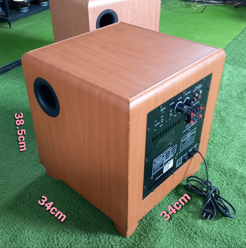 ภาพขนาดย่อ: ลำโพง Sub Active MRZ 250 -SW ไม่มีดอก
