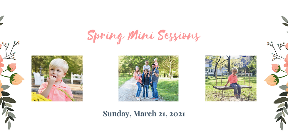 Spring Minis-3.png