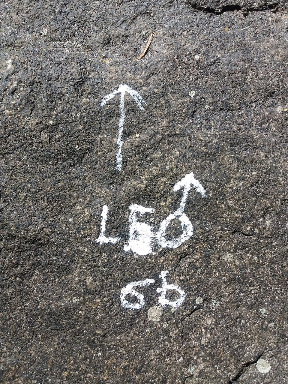 IMG-20180630-WA0011