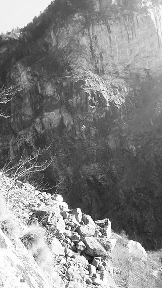 20151205_132409 (2)