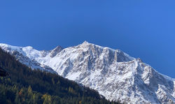 IMG_2320
