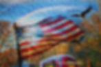 Patriotic Panel Quilt