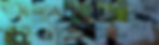 back02_2x-100.jpg