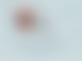 Cozy Christmases in the McConnell Mansion?