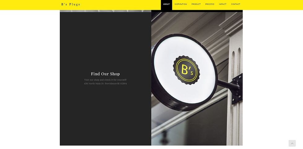 2016FA.Natural System.Final-B's Plug Web