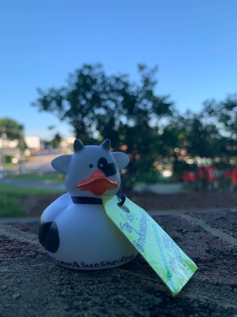 What is Duck Duck SEEK?