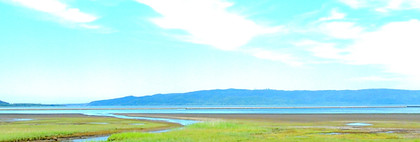 湿原