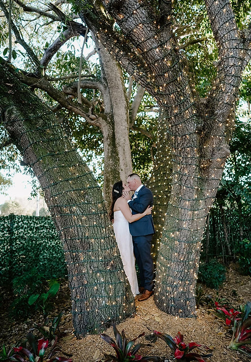 MICHELLE-LAWSON-TREE-OF-ONE.jpg