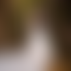 Gardens of Eden: Lush ‘wellness weddings’ surrounded by nature are the latest trend
