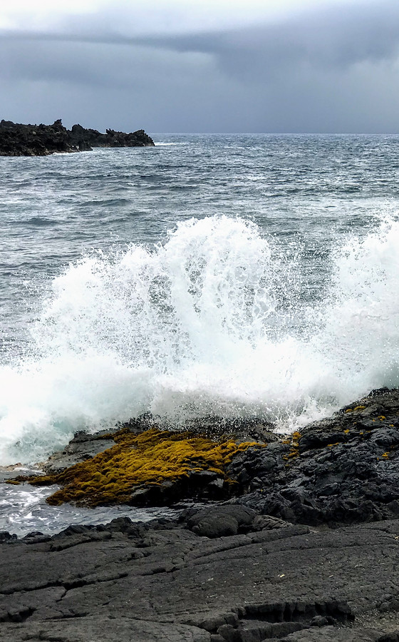 Punalu'u Black Sand Beach.jpg