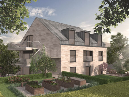 Projektankündigung "GARTENHAUS" in Wädenswil.