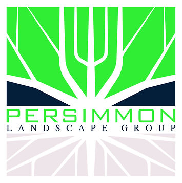 Persimmon - Logo - Primary.jpg