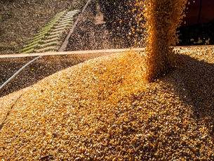 CNA eleva estimativa do ‘PIB da agropecuária’