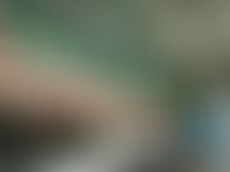 Gigante do agronegócio brasileiro fecha parceria com empresa saudita