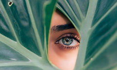 Eye Through Leaf_edited.jpg