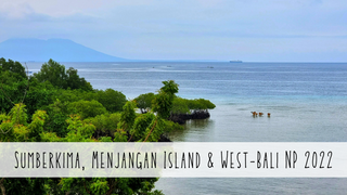 Photodump banners (1).png