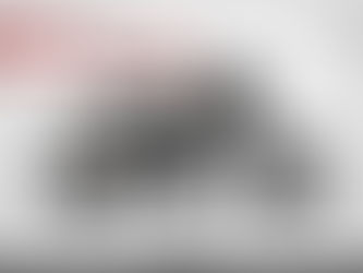 Buying Zard Exhaust System Online: Upgrade Your Ride