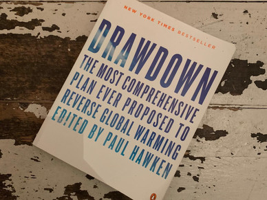 Drawdown, the Evocco Eco Book Review premiere