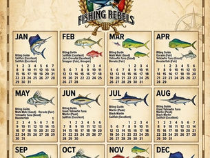 The ultimate Puerto Vallarta fishing calendar.
