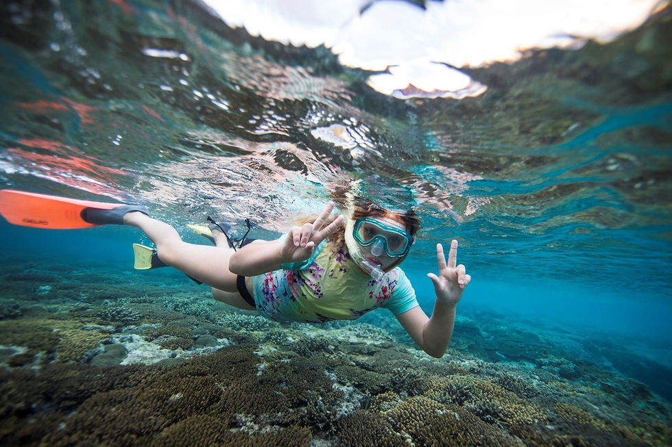 snorkeling tours in the marietas islands and sayulita