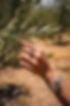 22-FINCA LA SERENA114.jpg