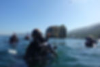 Scuba diving in los arcos puerto vallarta tours