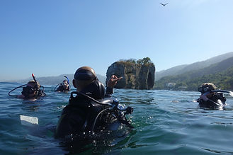 Scuba diving in sayulita
