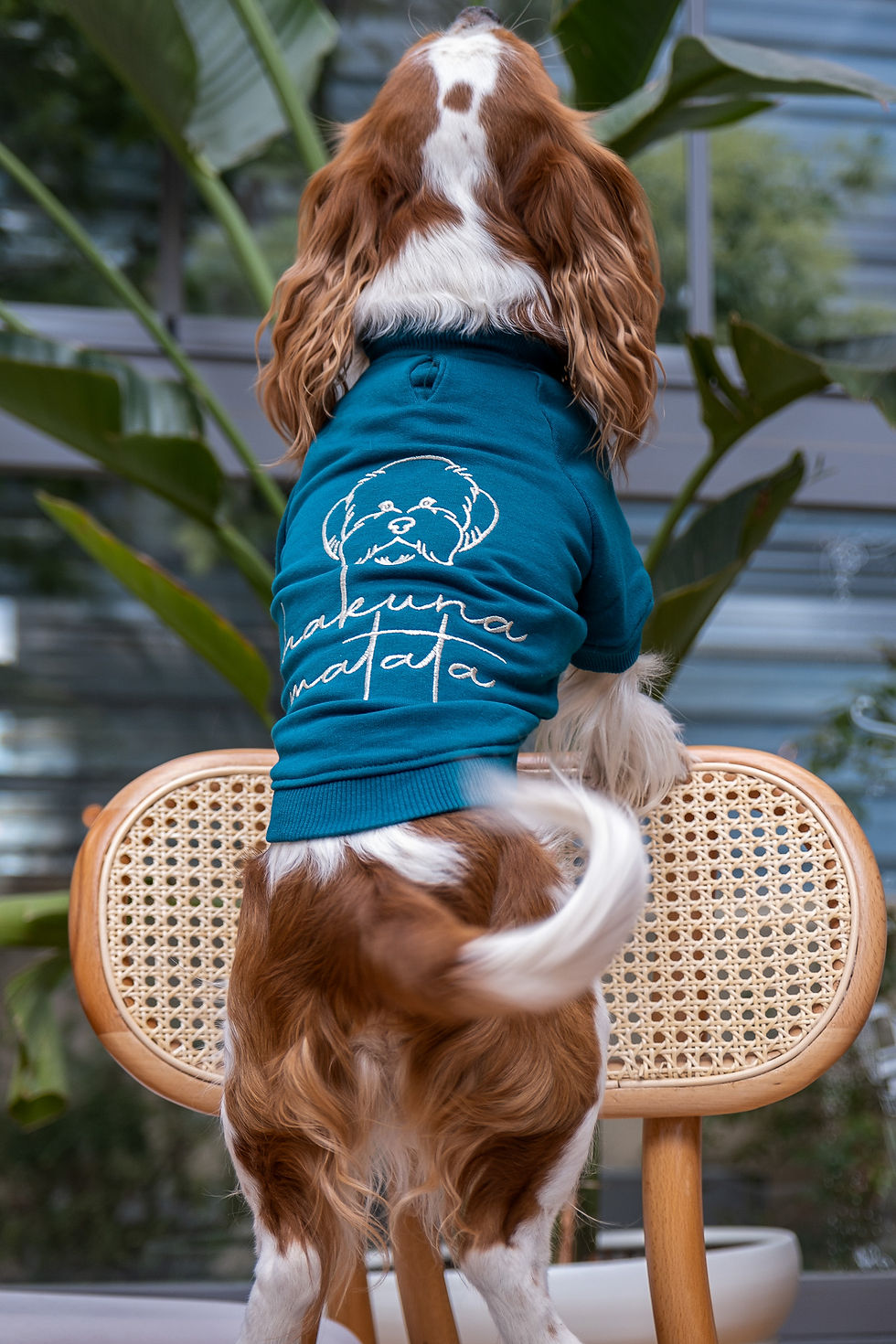 Hakuna Matata Petrol Sweatshirt