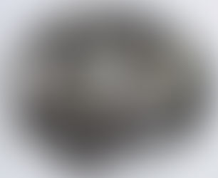 Kenji Yoshida: The Meaning of Life