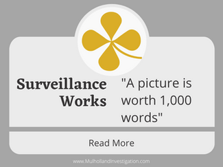 Surveillance Works