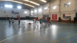 Microestadio