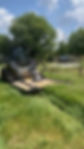 Skid steer brush hogging service for overgrown mowing.