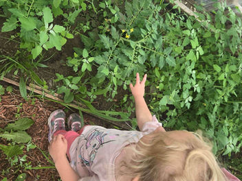 2026 The Valley Fellowship's Season of Growth