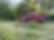 IMG_3724.jpeg