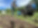 IMG_3712.jpeg