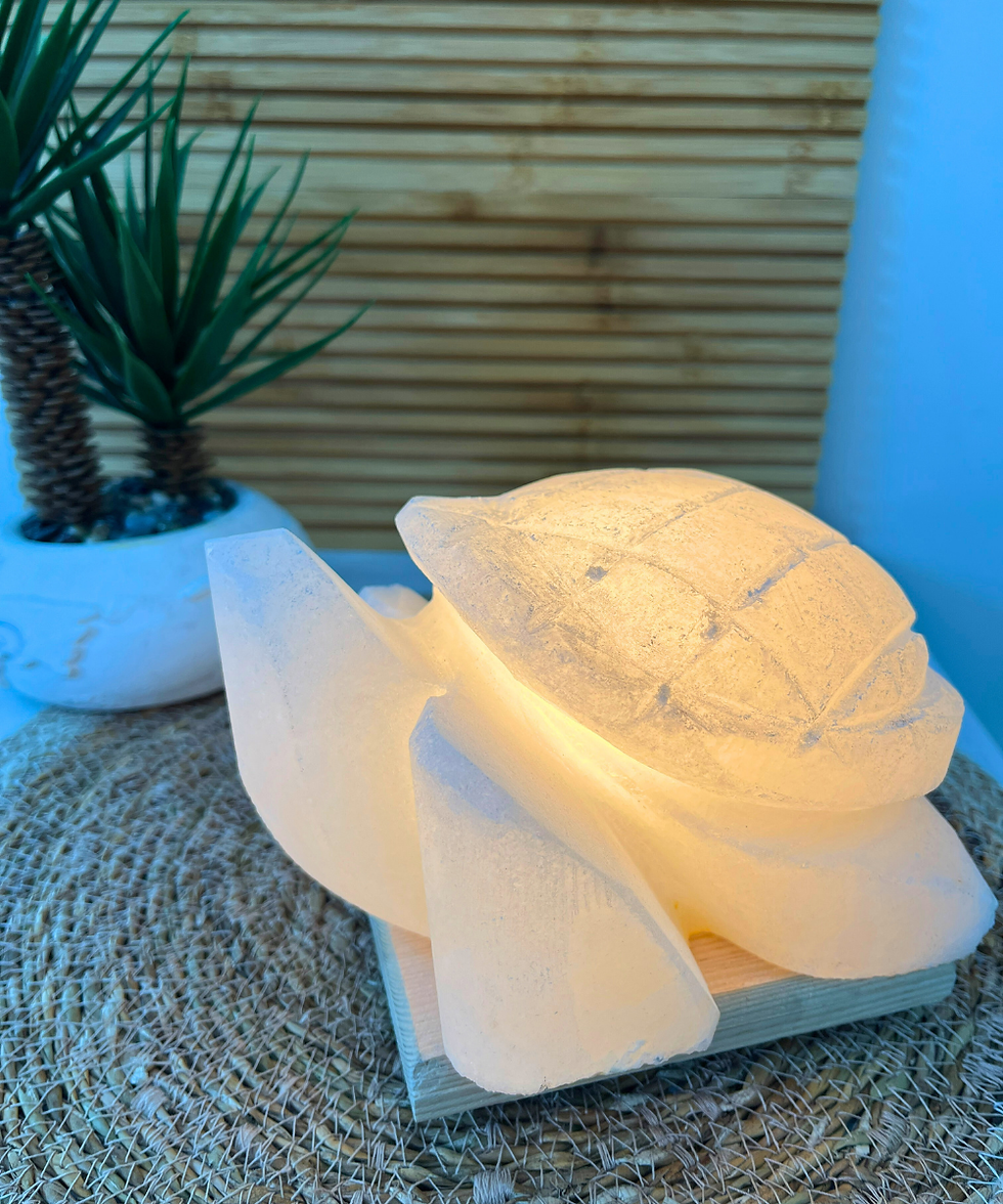 Kaplumbağa Model Tuz Lamba