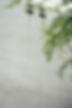 103 - DSC06555.jpg
