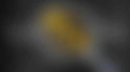 Riesgo de Tasa de Interés en el libro de banca y la importancia de modelar los depósitos a la vista