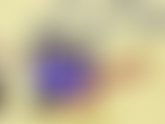 Plan de Regulación de la Comisión para el Mercado Financiero (CMF), período 2023 - 2024