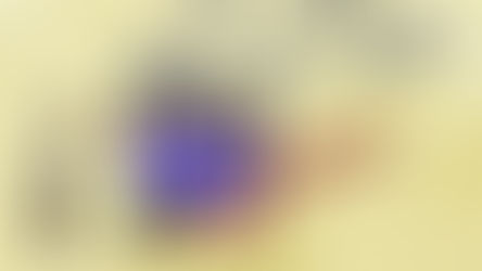 Plan de Regulación de la Comisión para el Mercado Financiero (CMF), período 2023 - 2024