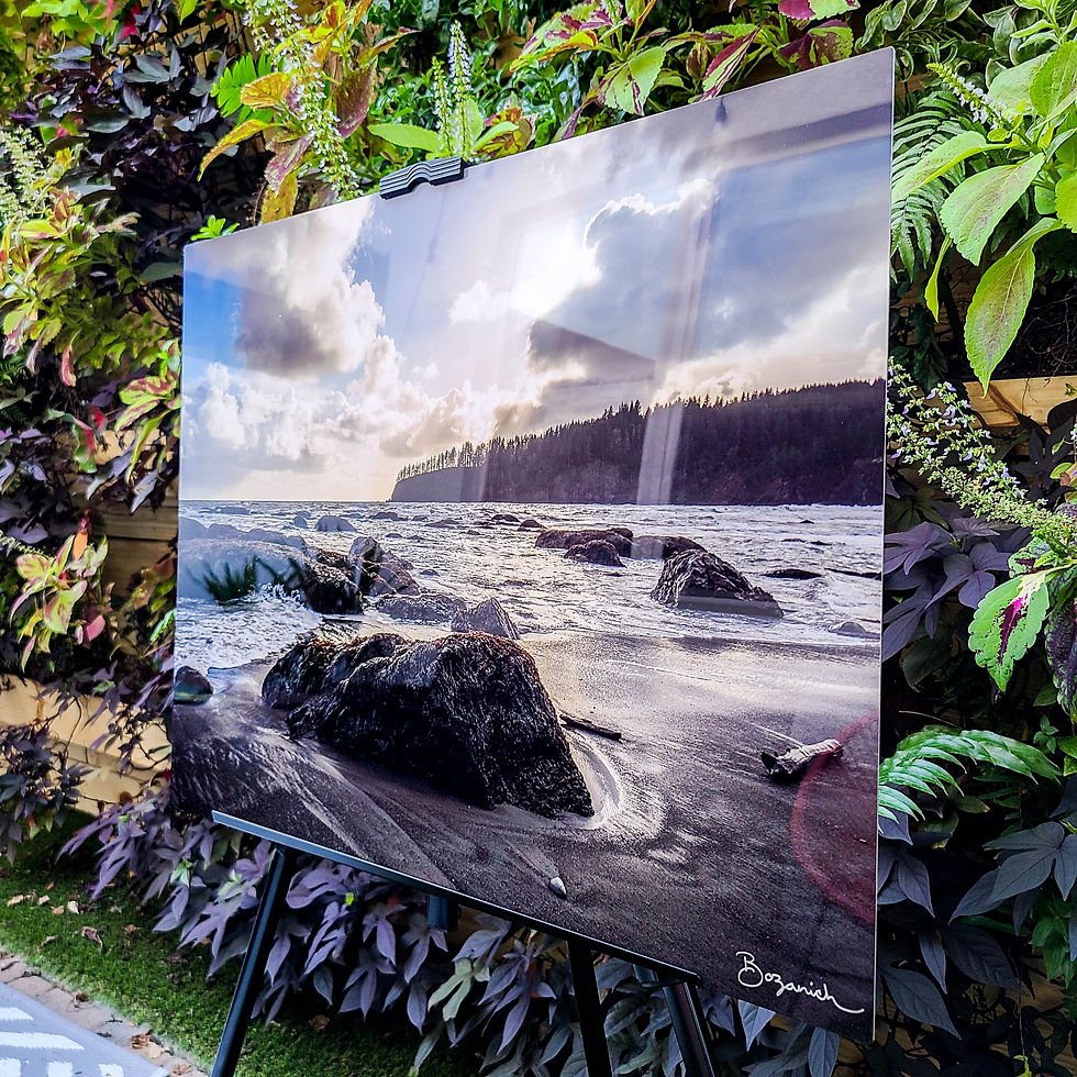 Thumbnail: "Olympic Sunset" | Olympic National Park, WA