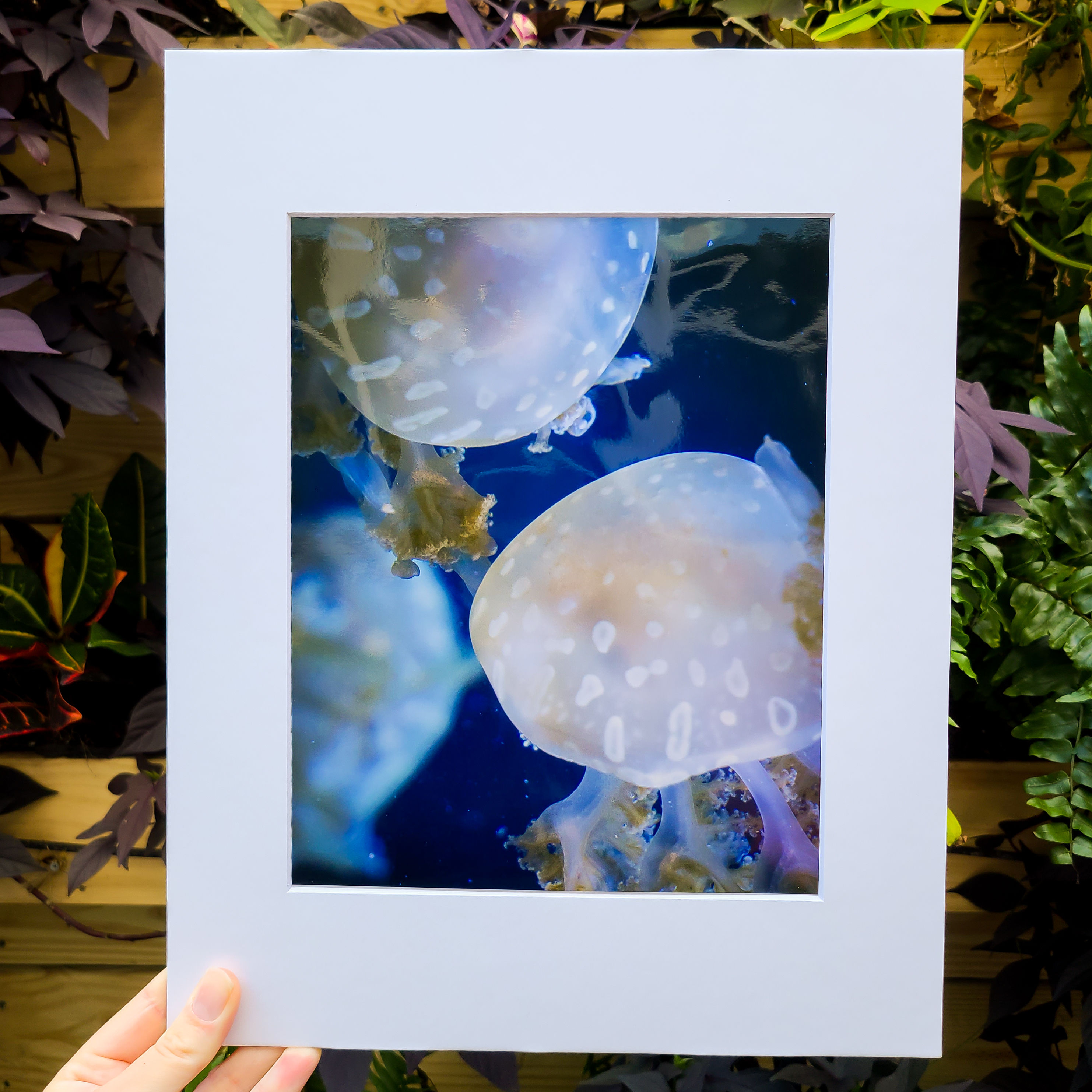 "Floating" | Seattle, WA