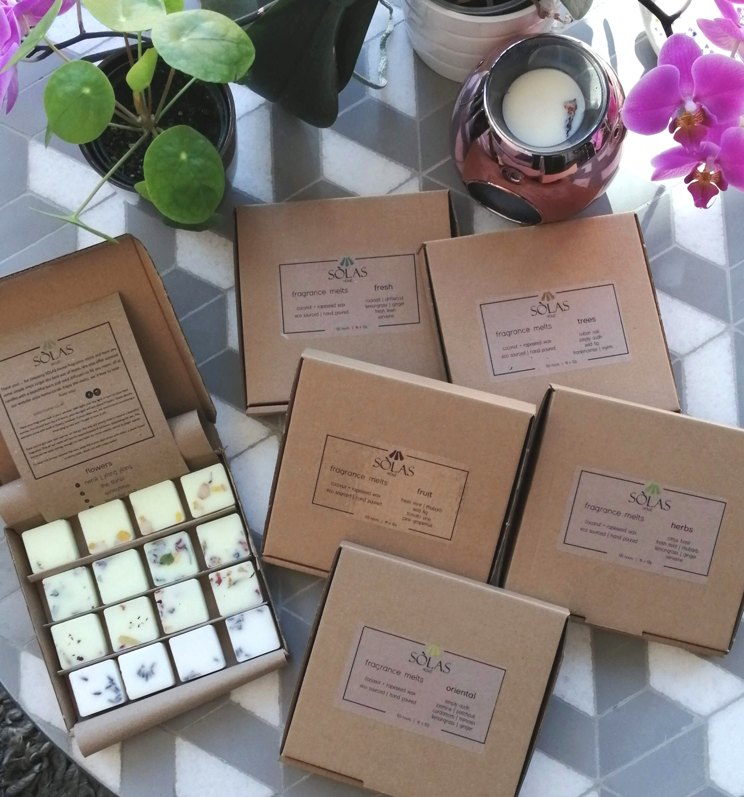 botanical wax melts selection box