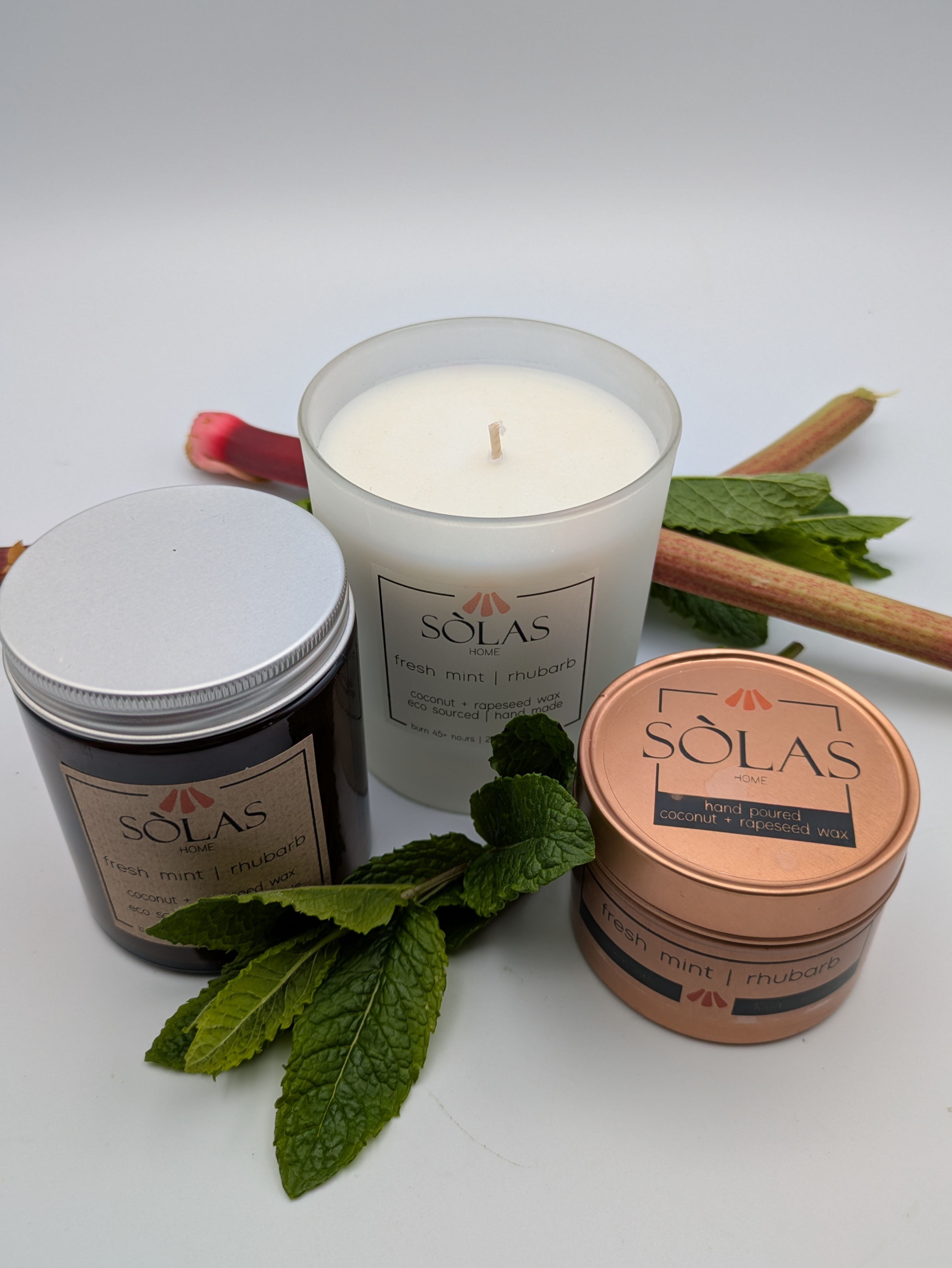 fresh mint | rhubarb