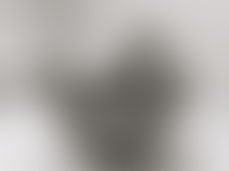 O aparecimento da Esfera de Buga despertou o fascínio do mundo, provocou testes científicos minuciosos e incendiou debates em redes, fóruns de ufologia e locais como Reddit